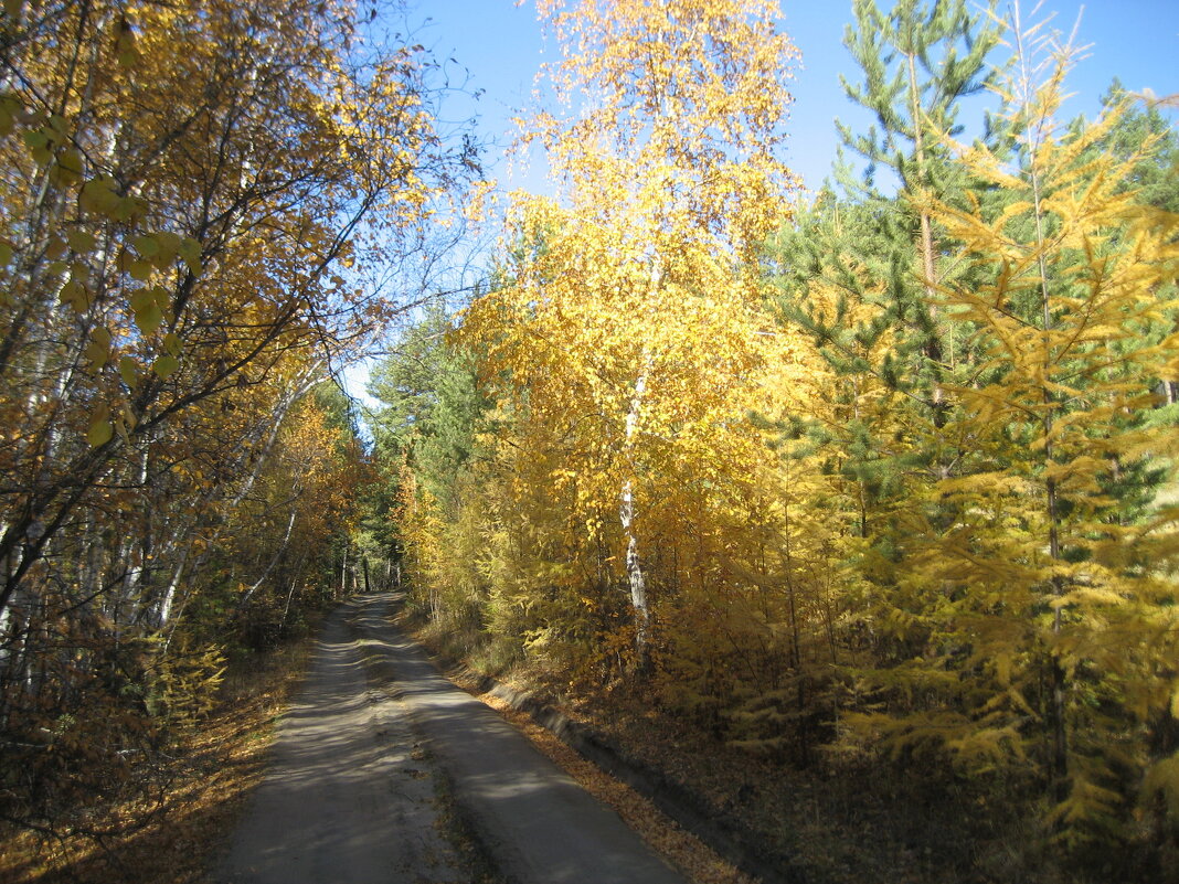 Осень - Anna Ivanova