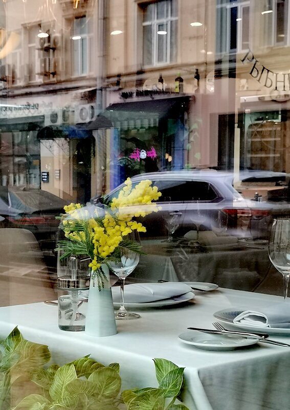 Отражение - Любимова Ольга 