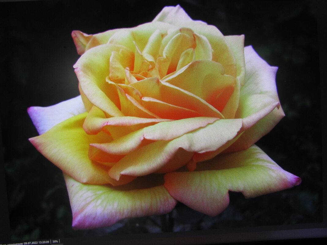 Красавица - Людмила Смородинская