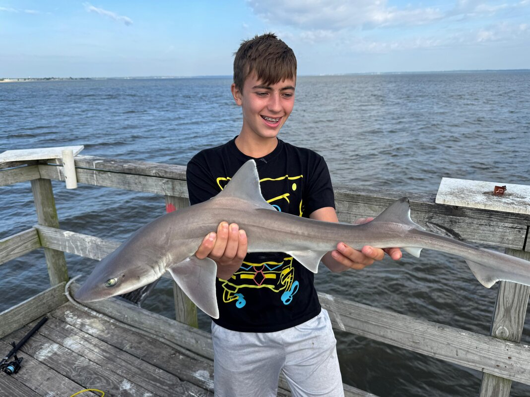 Удача! - Светлана Хращевская