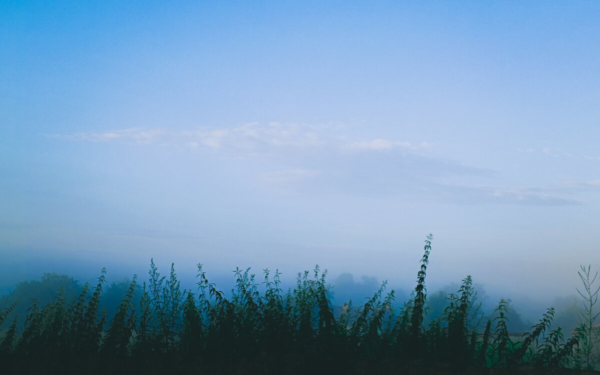 Пейзаж - Sergei Vikulov