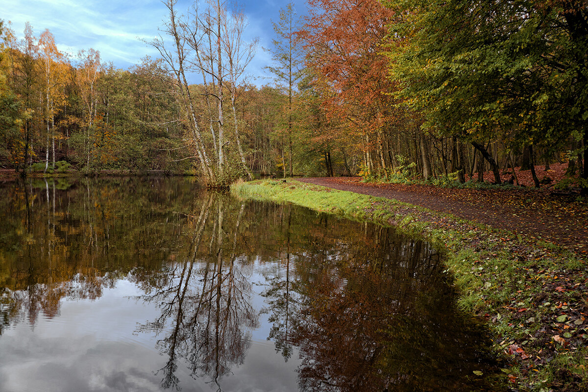 ---- - igor G. ---- - igor G.