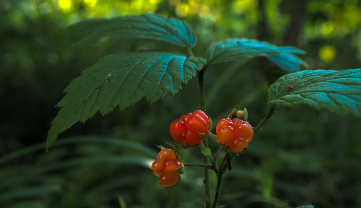 ***** - юрий поляков