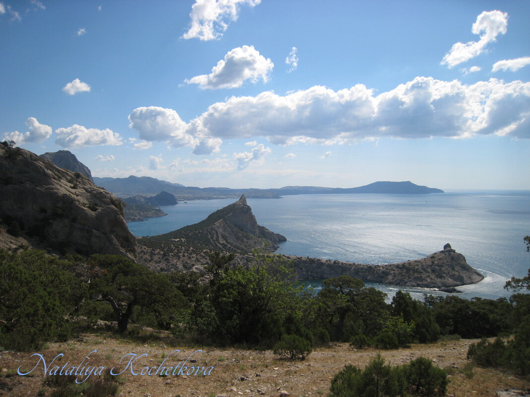 Природа Крыма - Amazing Cosmea