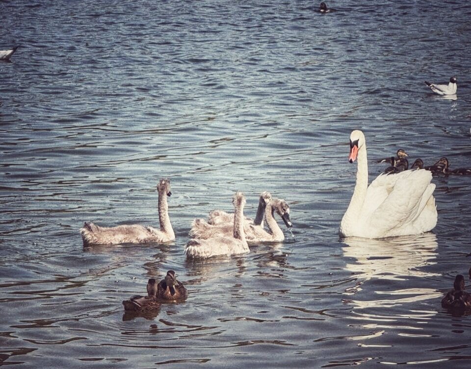 поверка - Сергей Б. поверка - Сергей Б.