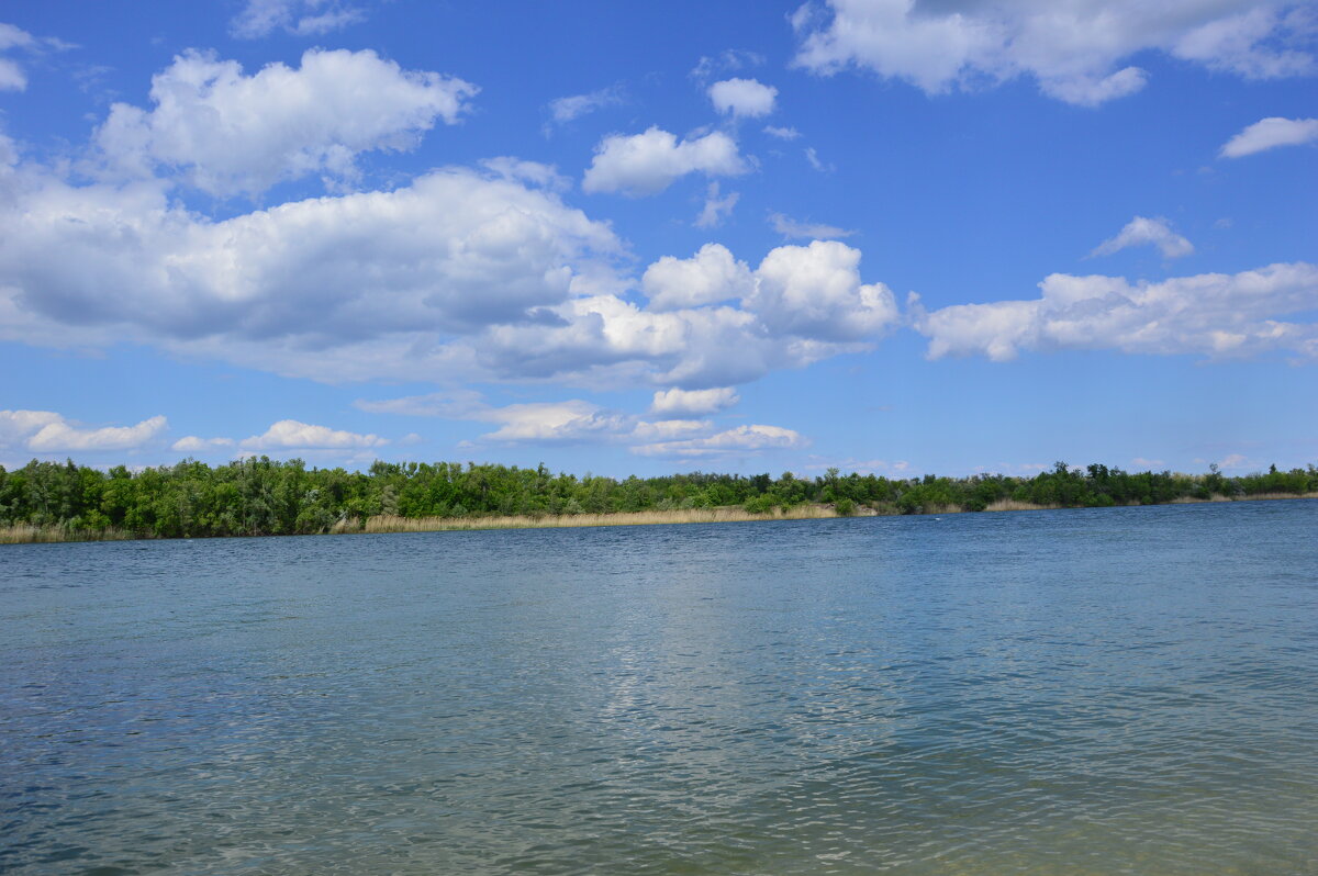 Донские виды. - Виктор 