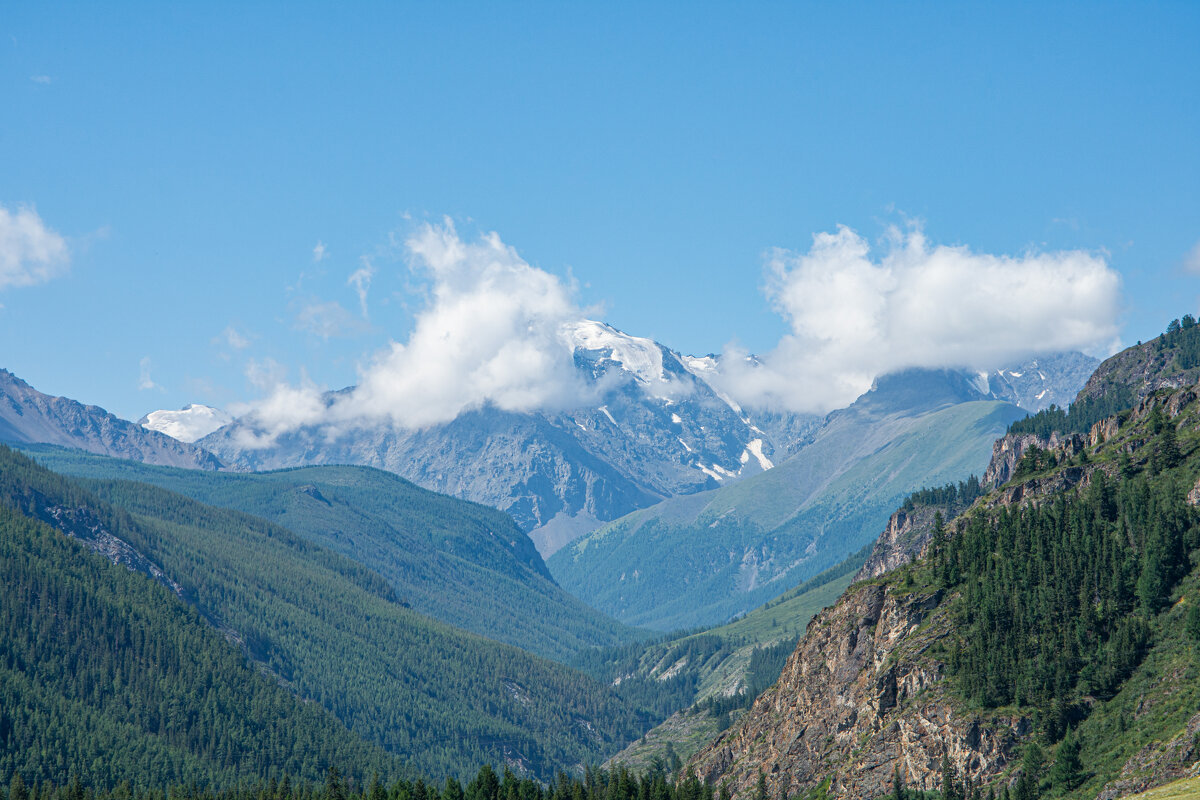 *** - Николай Чекалин