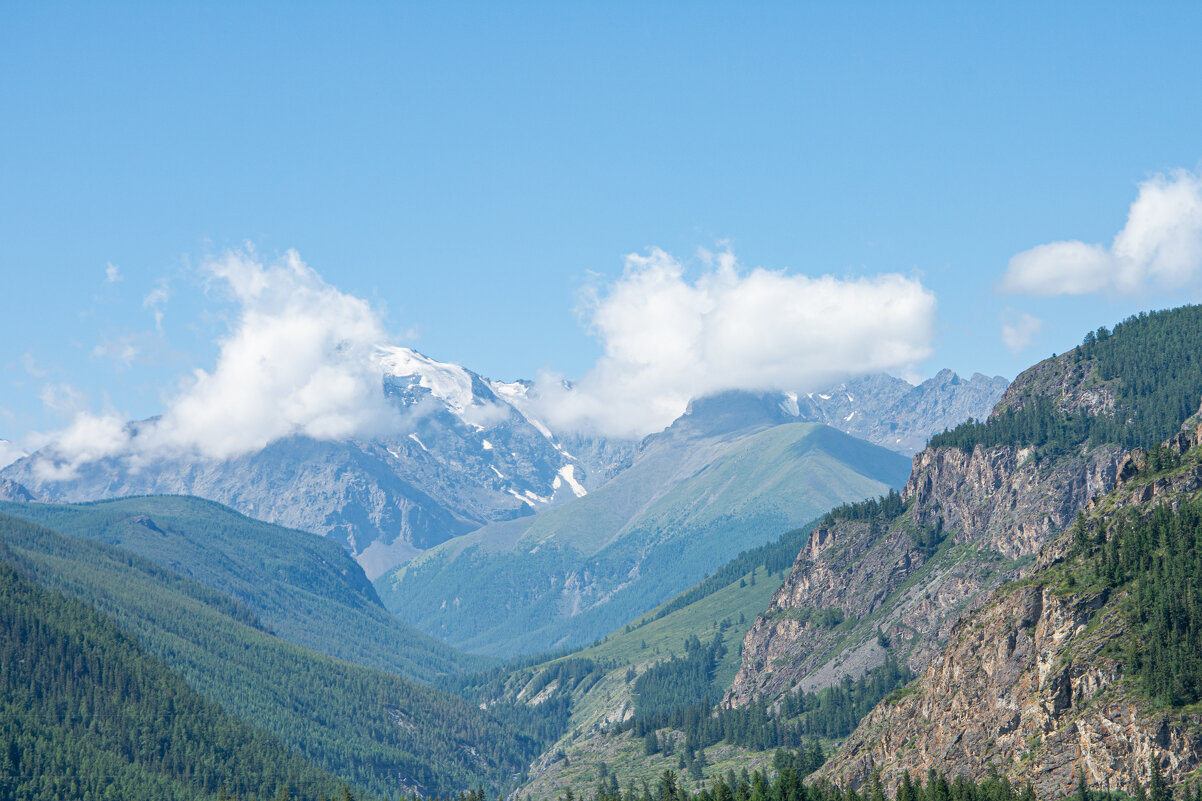 *** - Николай Чекалин