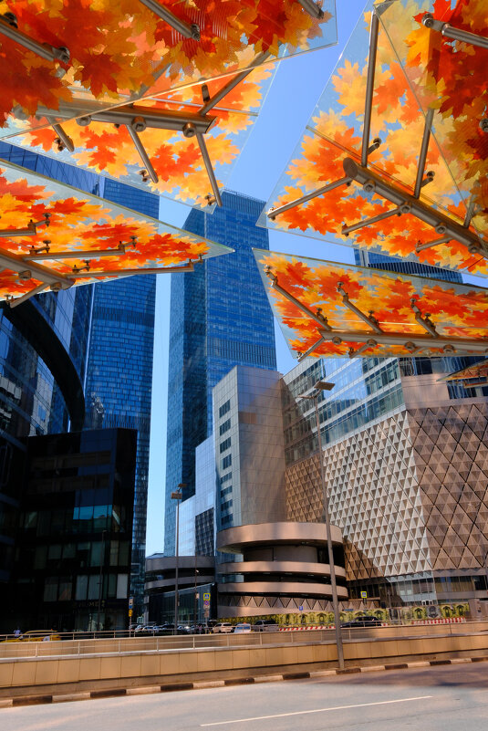 Краски города - Dar(k) Life