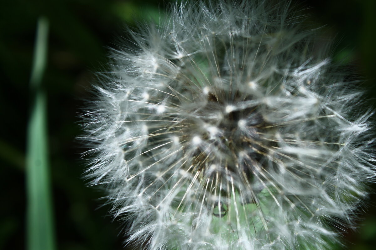 Воздушный - Любовь Иванова