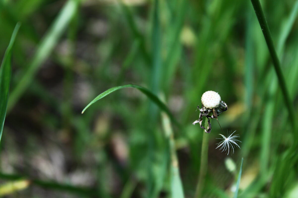 Без остатка - Любовь Иванова