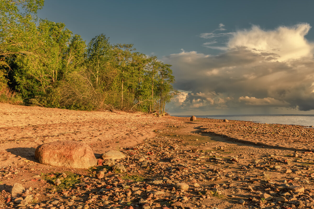 Про Питер - Владимир Колесников