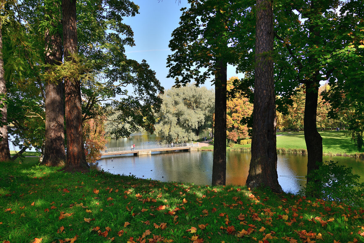 ** - Александр Хаецкий