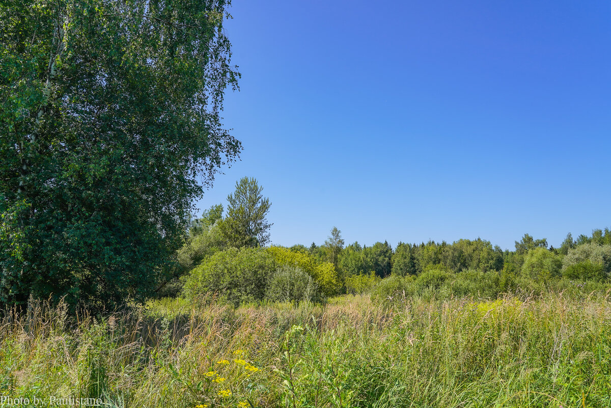 В летний полдень... - Владимир Жданов
