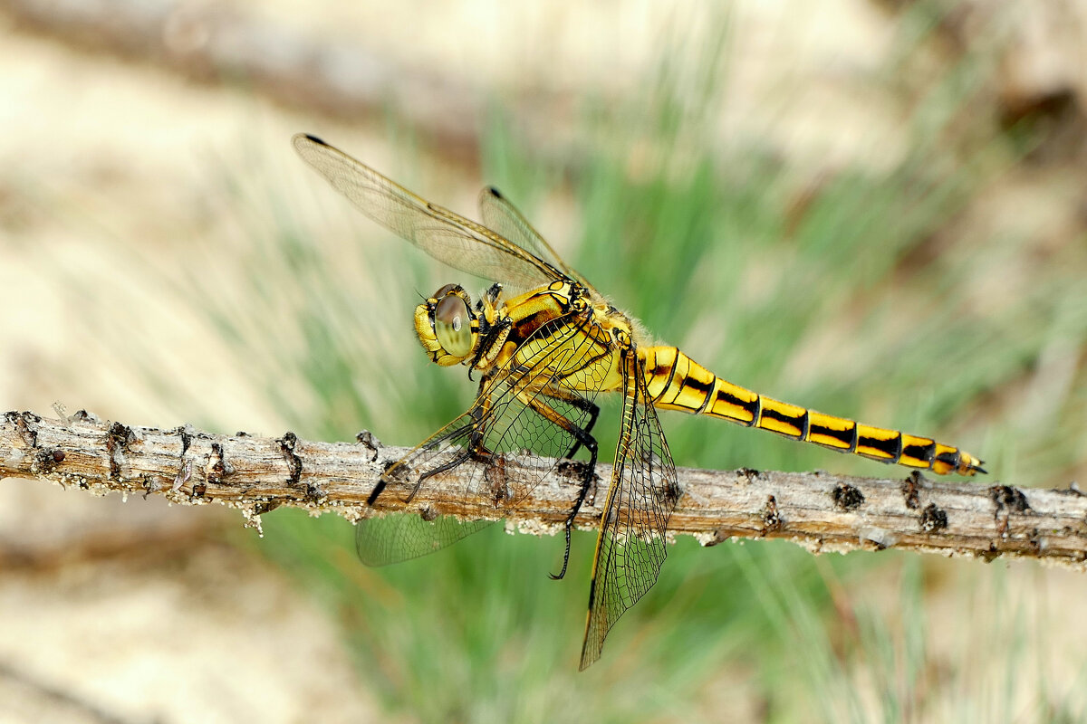 из сегодняшней съемки 4 - Александр Прокудин из сегодняшней съемки 4 - Александр Прокудин