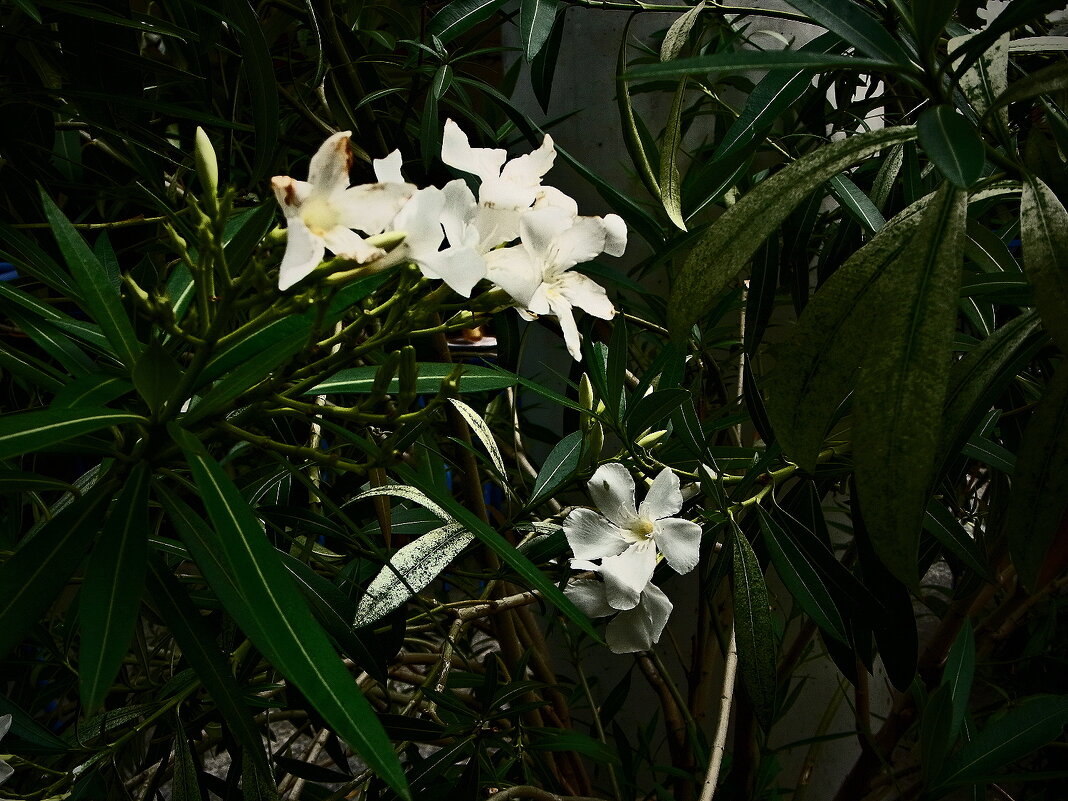 Летние этюды 70 - Алексей Кузнецов