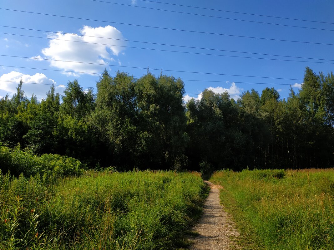 Июль уходит - Андрей Лукьянов Июль уходит - Андрей Лукьянов