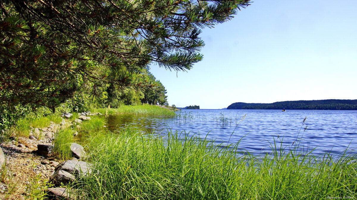 дикий пляж - Ольга Cоломатина