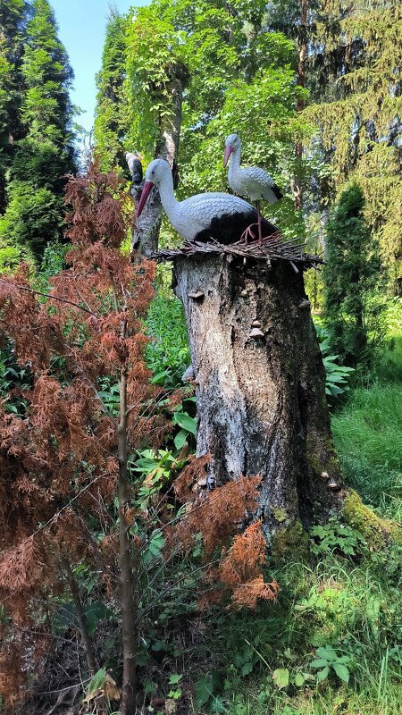 Прогулка по Зеленогорску. - Ольга 