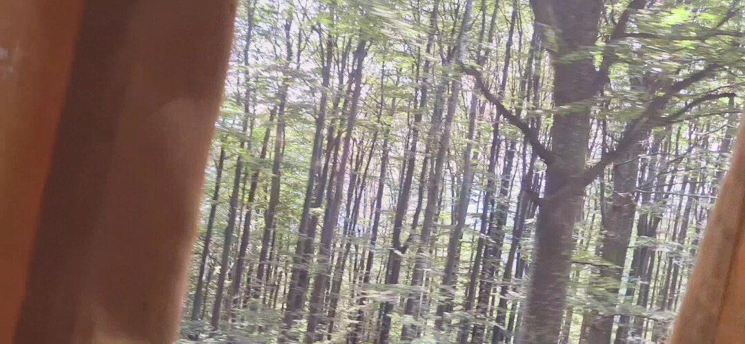 ЛЕ БО 4 (82) - CLOSE WAYS ALL