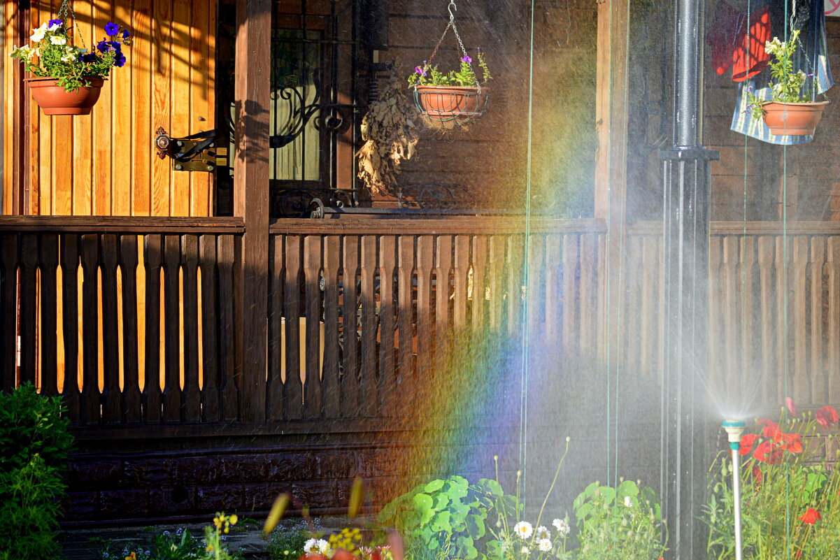 Радуга на своём огороде - Татьяна Лютаева