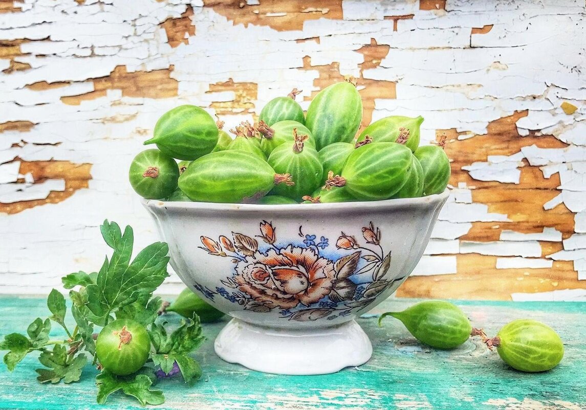 Поспел крыжовник... - TAMARA КАДАНОВА