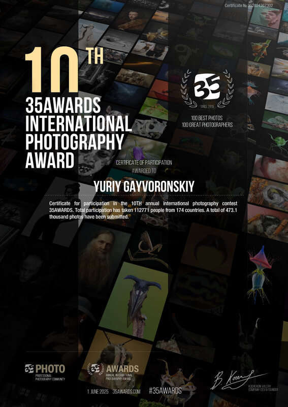 Мой диплом - Юрий Гайворонскiий