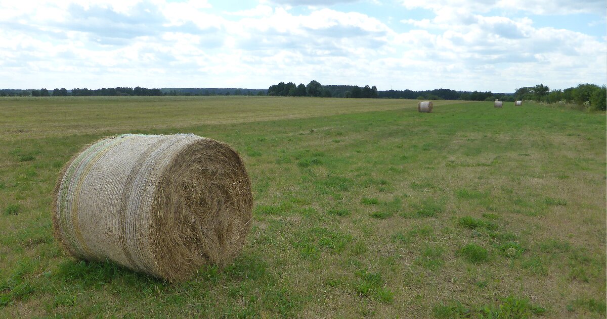 Шаги уходящего лета - rimgis 