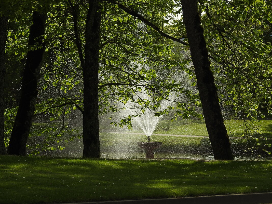 в парке - ИННА ПОРОХОВА