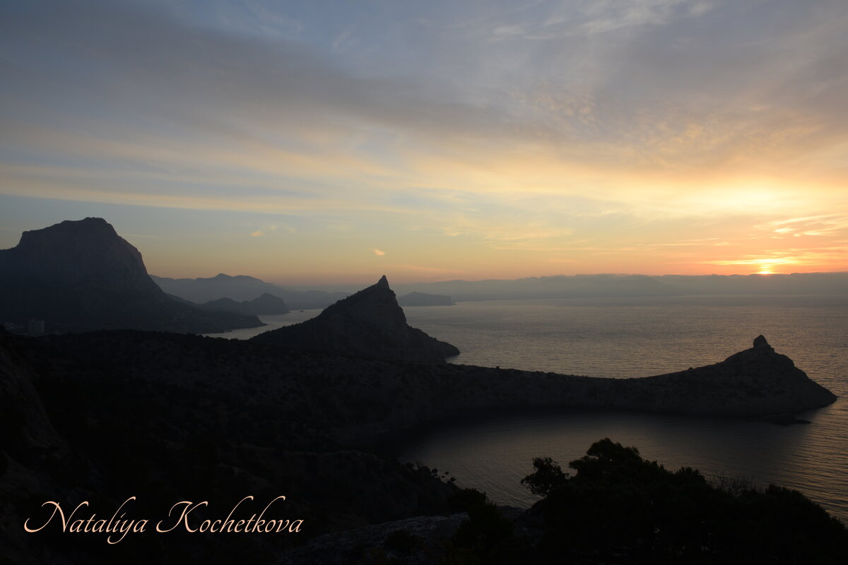 Природа Крыма - Amazing Cosmea Природа Крыма - Amazing Cosmea