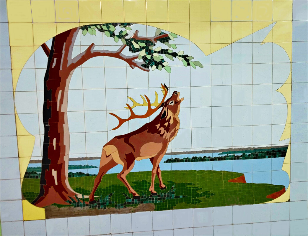 Одинокий! - Надежда 