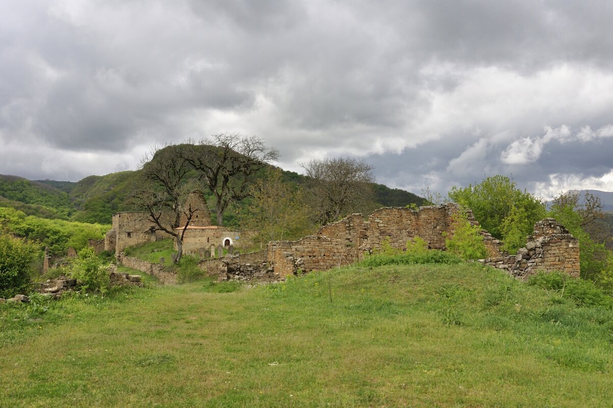 *** - Марина Виноградова