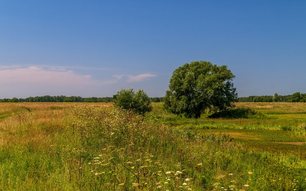 Жара июль 2 - Андрей Дворников