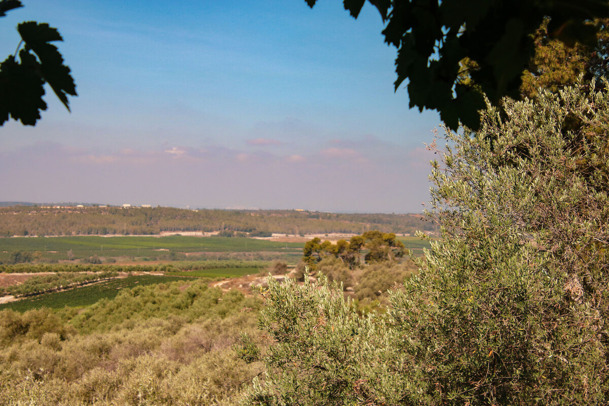 Долина Сорек. - Argaman Табашник Долина Сорек. - Argaman Табашник