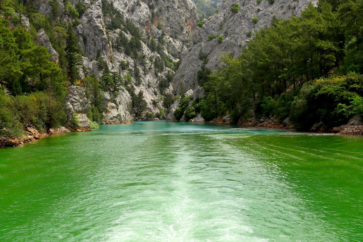 Из бирюзовой в зелёную - Юрий. Шмаков Из бирюзовой в зелёную - Юрий. Шмаков