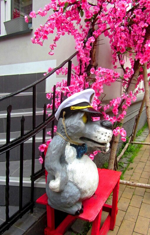 Волк-капитан - Сергей Карачин Волк-капитан - Сергей Карачин