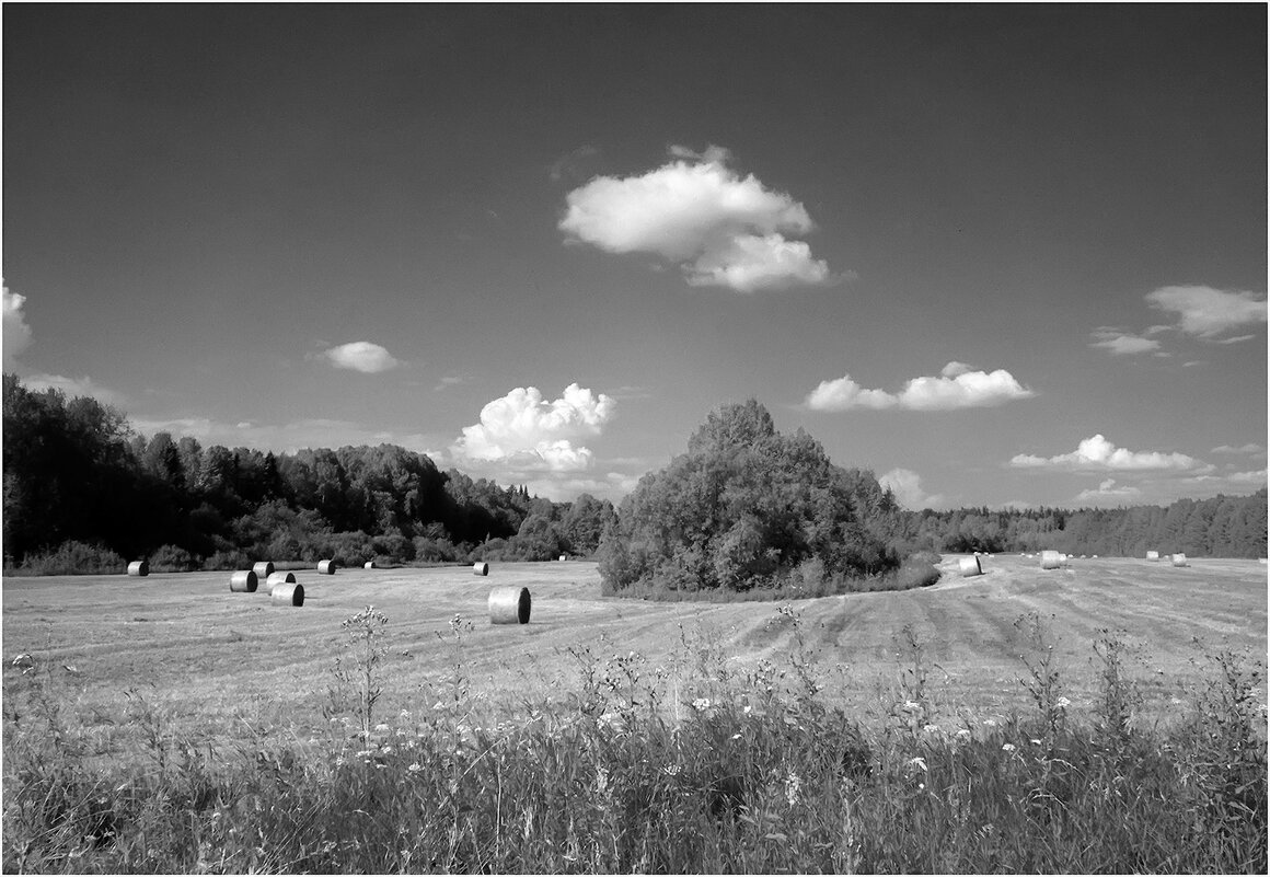 Летний этюд - Валентин Котляров