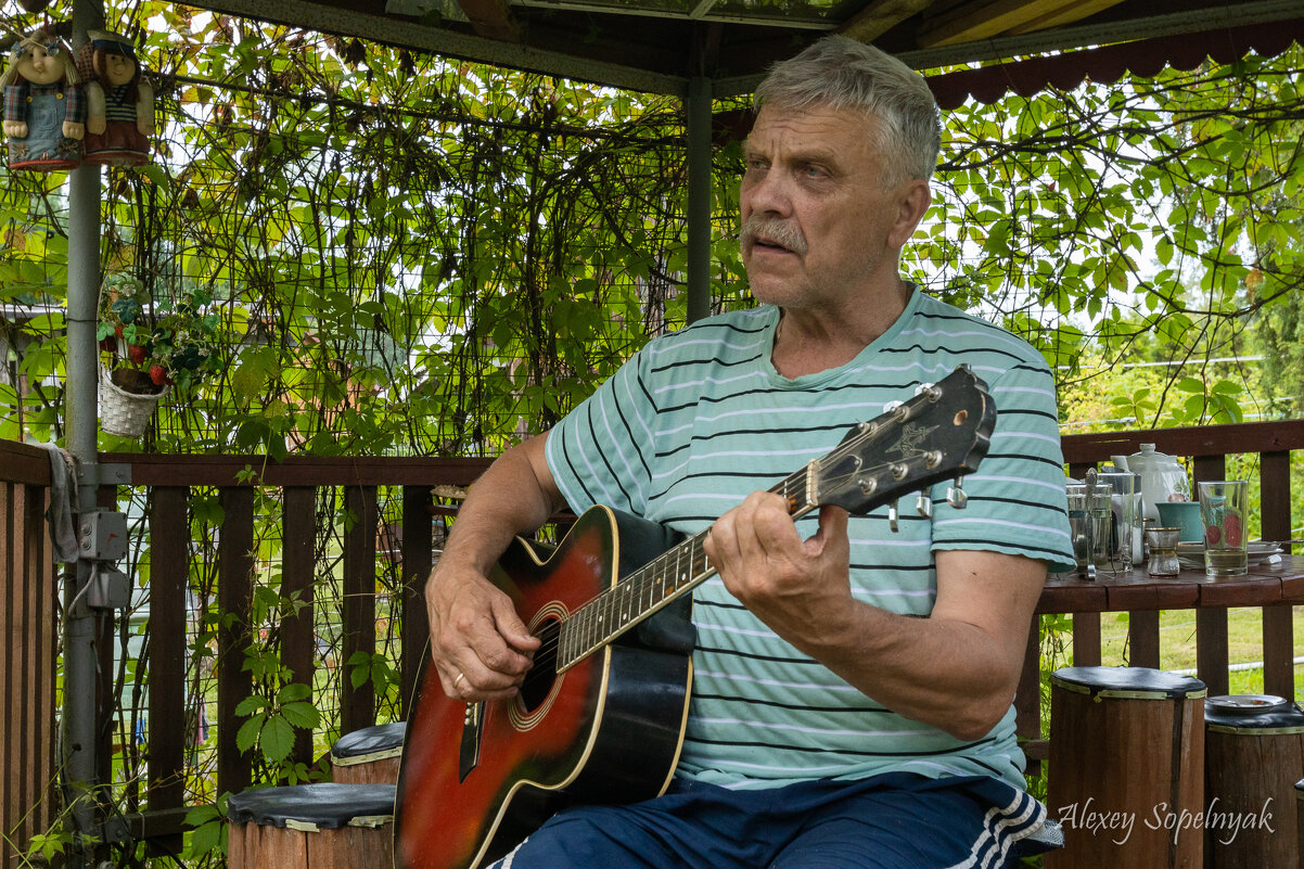 Родная дача. - Алексей Сопельняк