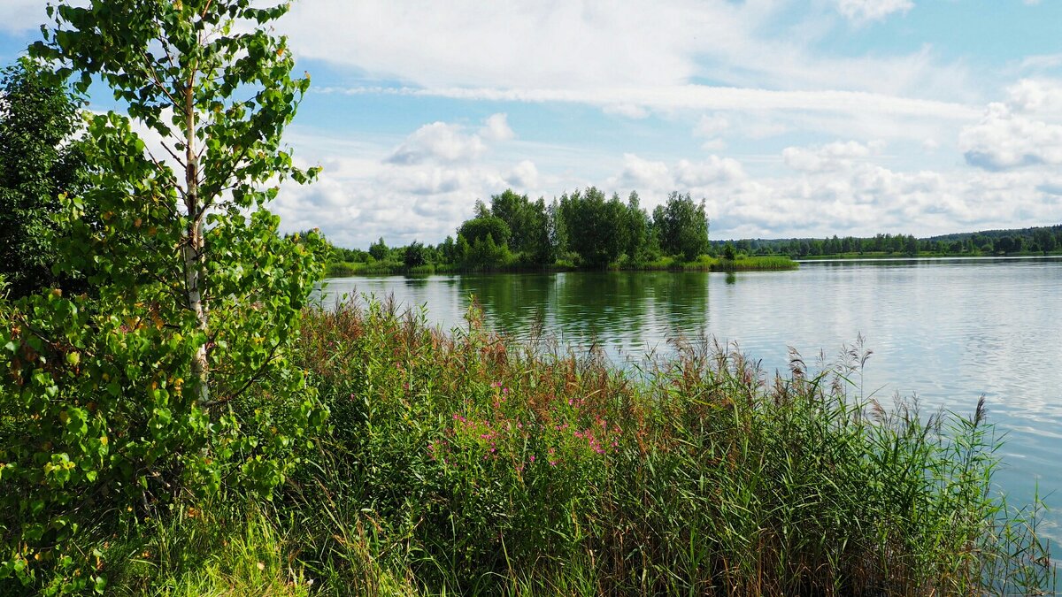 Смоленщина в конце июля. - Милешкин Владимир Алексеевич Смоленщина в конце июля. - Милешкин Владимир Алексеевич
