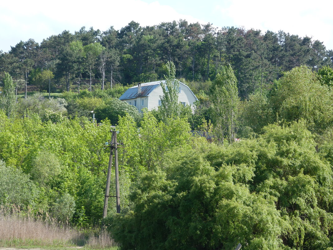 Природа  Крыма - Валентин Семчишин