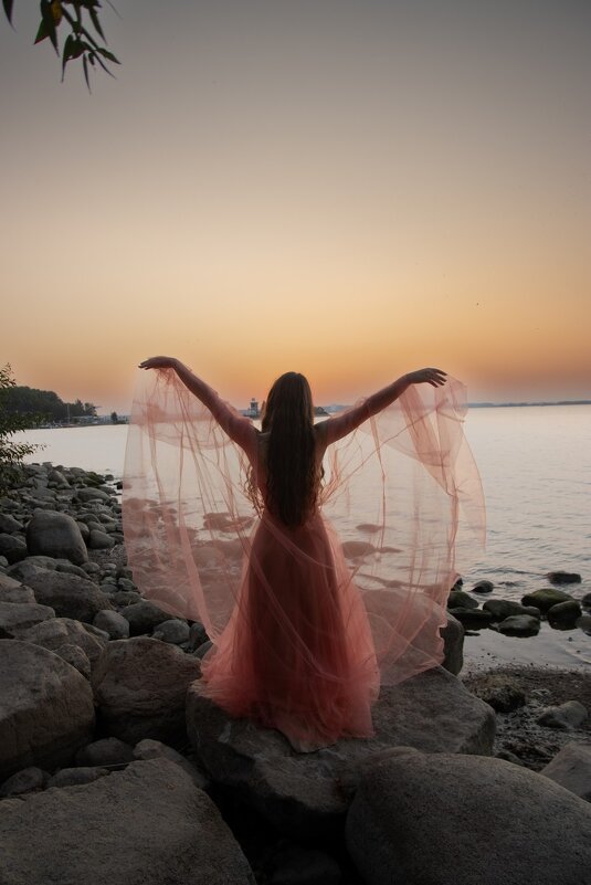 * - Евгений Ваулин