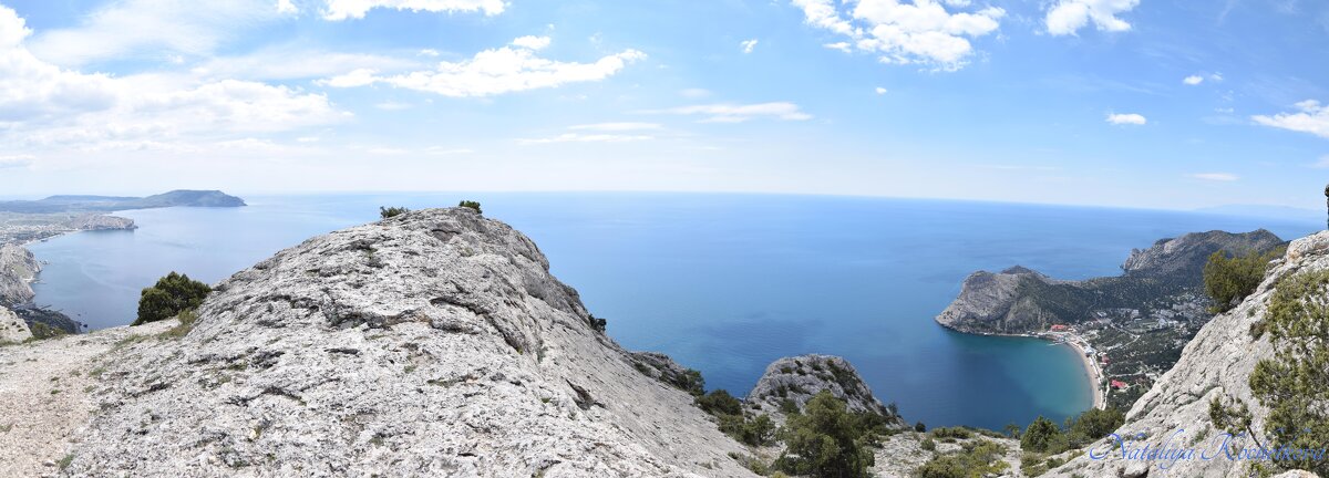 Природа Крыма - Amazing Cosmea