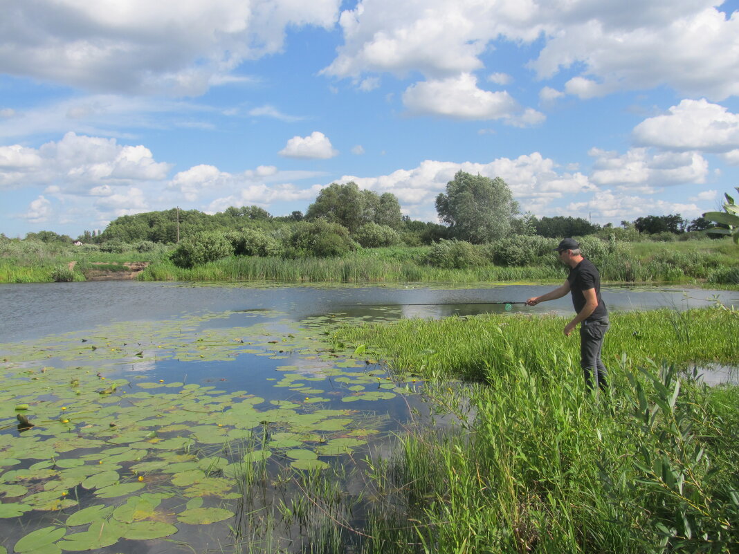 за городом - Елена Шаламова за городом - Елена Шаламова