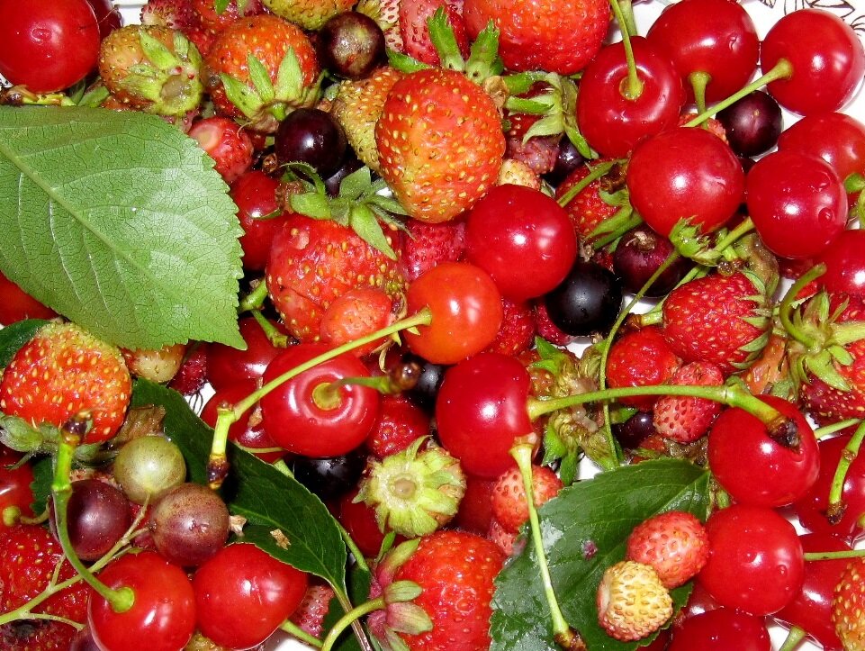 панно - Галина Флора панно - Галина Флора