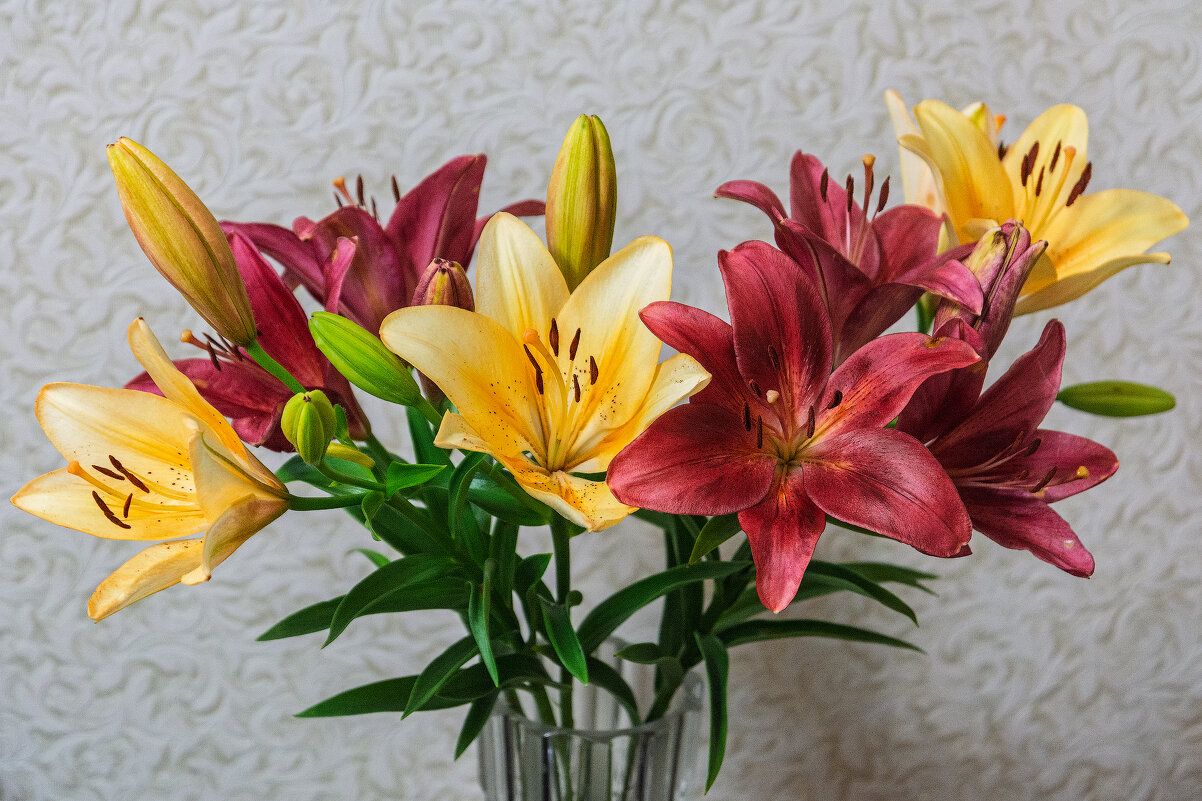 *** - Виктор Иванович Чернюк