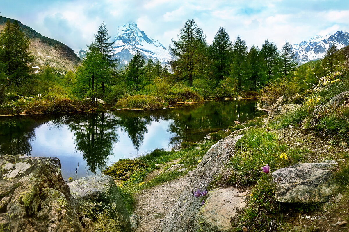 das Matterhorn - Elena Wymann