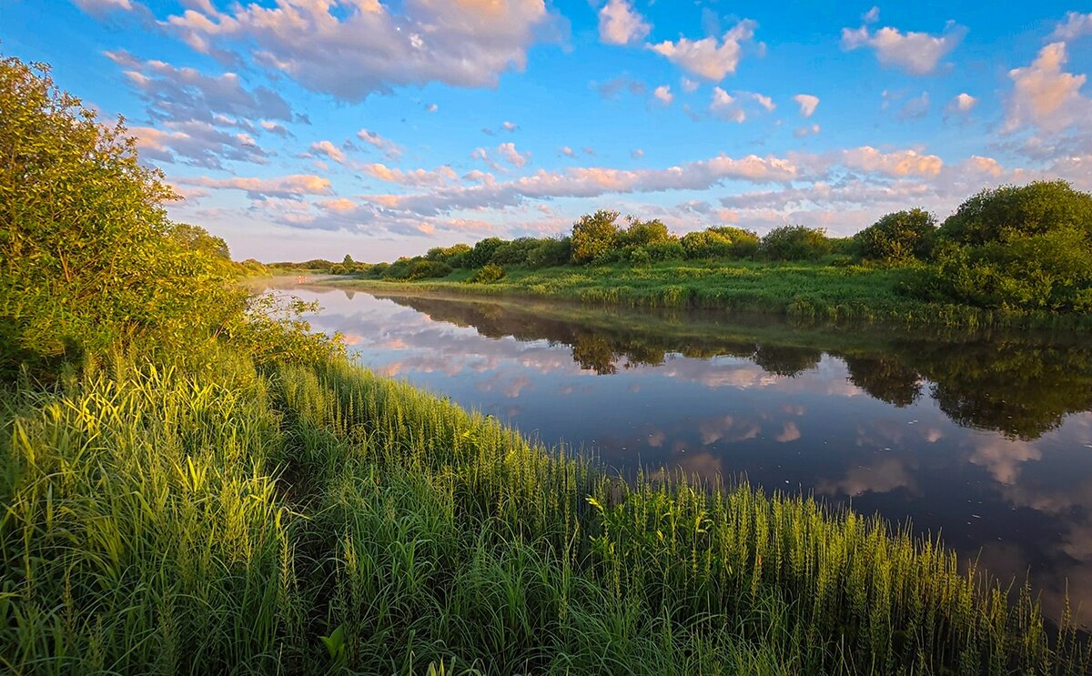 Утро на Мелече - Николай Дергачев