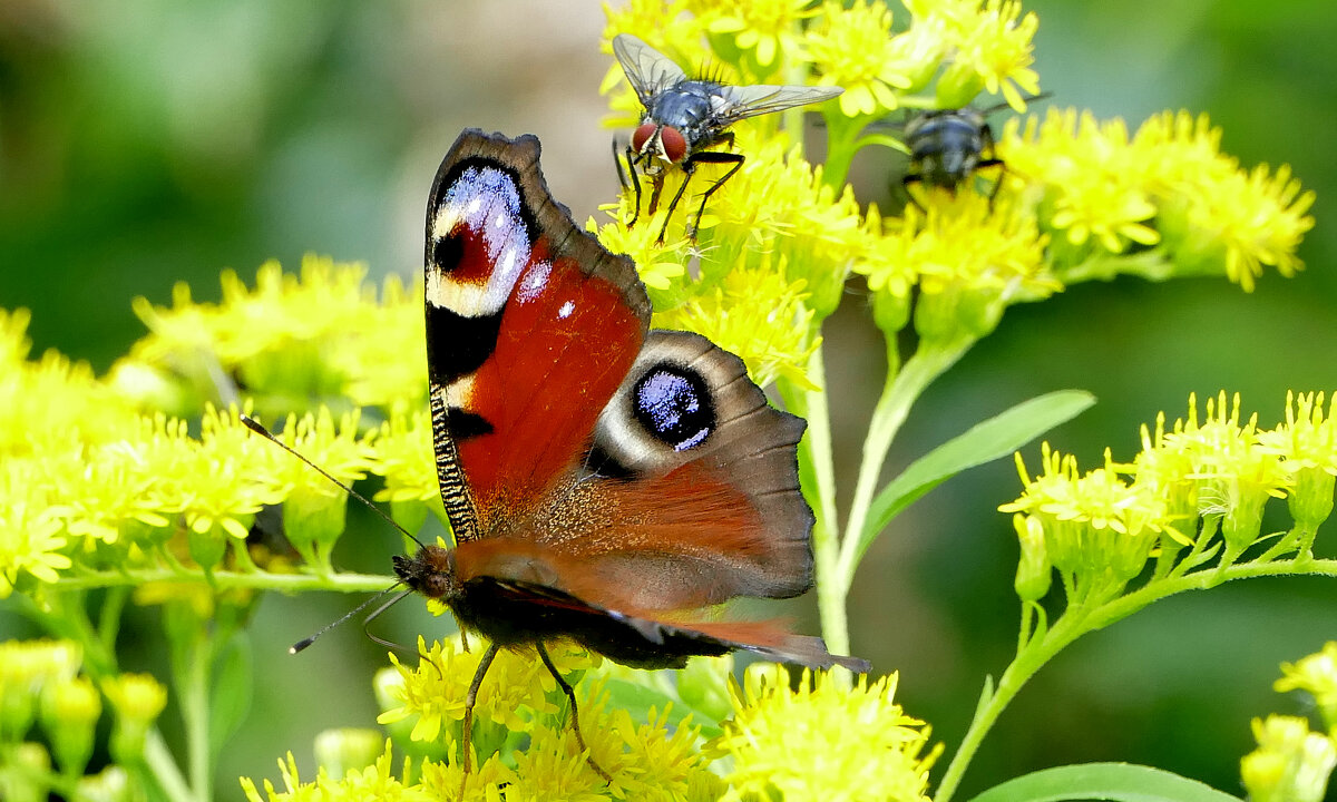 из сегодняшней съемки 3 - Александр Прокудин