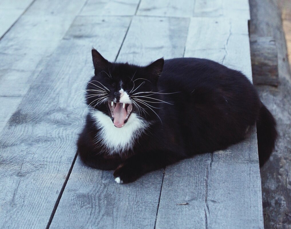 Устала! - Наталья Герасимова