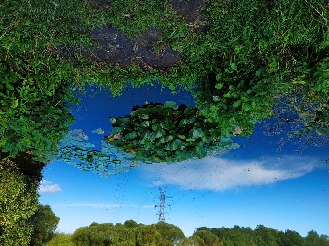 Ой! - Андрей Лукьянов